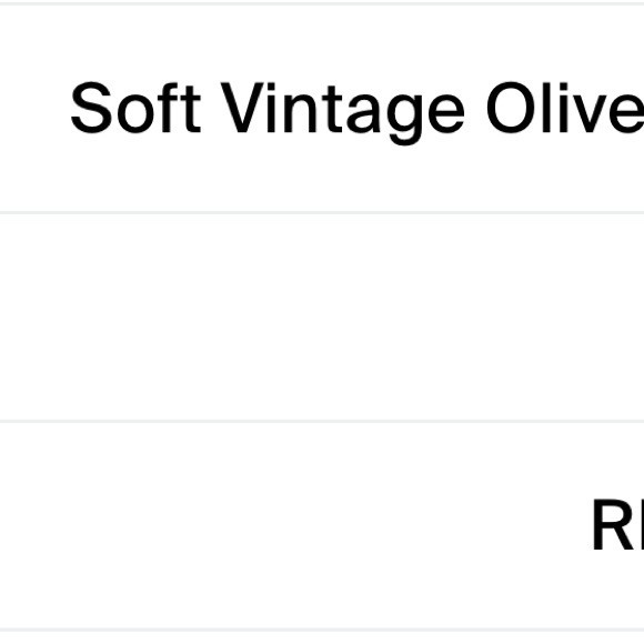 Splendid brand Olive Cargo Jogger Pants - Picture 7 of 7